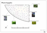 Planteringsplan Entrérabatt Västra Bodarna